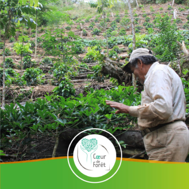 🇧🇴 Bolivie – Projet d’agroforesterie pour préserver la forêt tropicale humide des Yungas