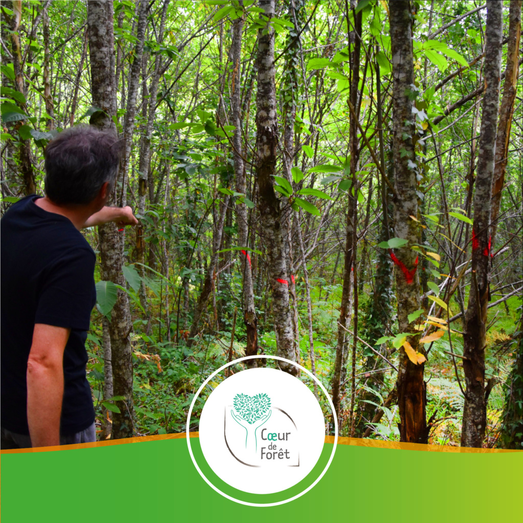 projet preservation foret france