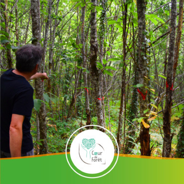 🇫🇷 France – Projet de préservation de la forêt dans le Lot