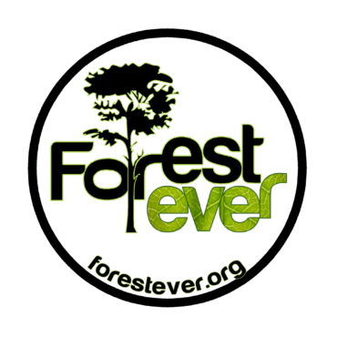 Forestever