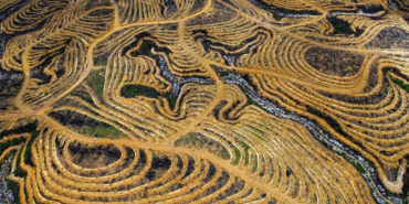 LU : Stop à l’huile de palme