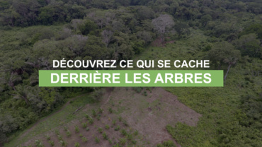 Derrière les arbres