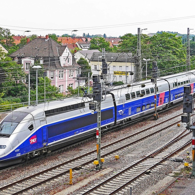 photo_all4trees_act4trees_train train