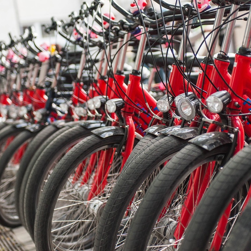 photo_all4trees_act4trees_velos velo