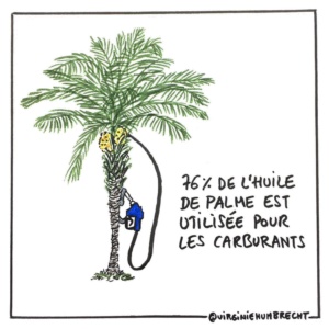 photo_art4trees_Virginie Humbretch_huile de palme carburants huile de palme carburant