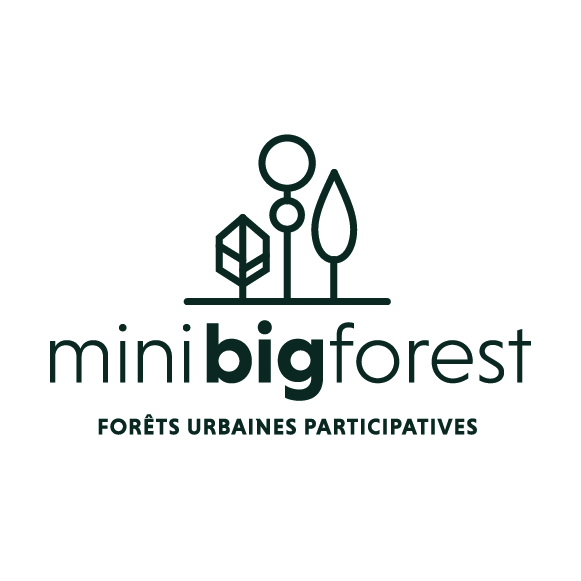 MiniBigForest