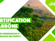 Les mécanismes de “certification carbone” sont-ils adaptés aux projets de préservation et restauration des forêts ?