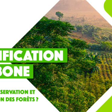 Les mécanismes de “certification carbone” sont-ils adaptés aux projets de préservation et restauration des forêts ?