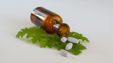 Les forêts tropicales sont notre pharmacopée. Préservons-les !