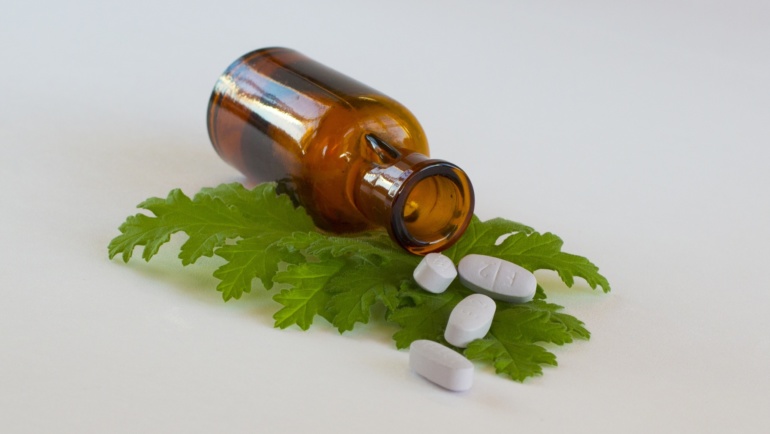 Les forêts tropicales sont notre pharmacopée. Préservons-les !