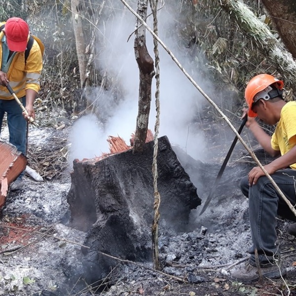 photo_act4amazonia_Guardians of the Forest_incendies amazonie (2) © Guardians of Forest