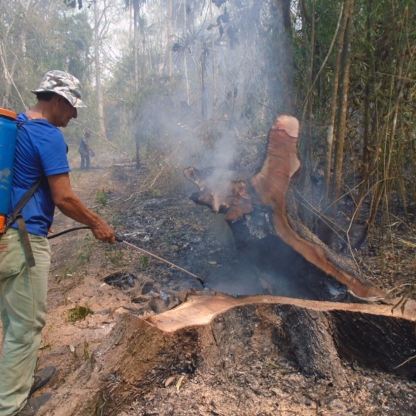 photo_act4amazonia_Guardians of the Forest_incendies amazonie (6) © Guardians of Forest