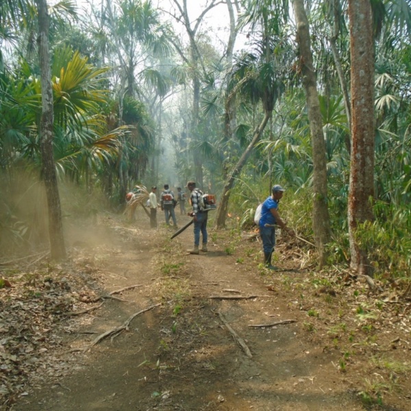 photo_act4amazonia_Guardians of the Forest_incendies amazonie (8) photo_act4amazonia_Guardians of the Forest_incendies amazonie (8)