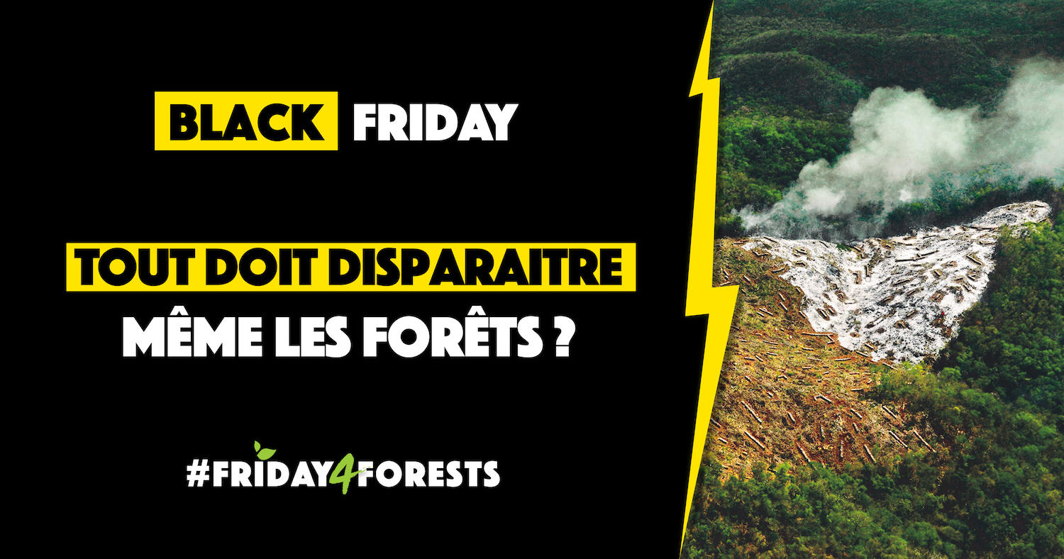 banner_web_all4trees_friday4forests #friday4forests