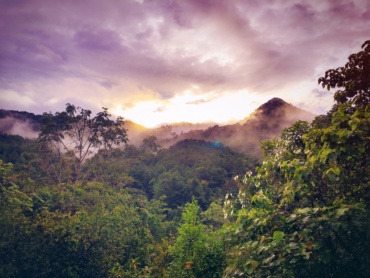 2021 – 2030 doit être la décennie de la préservation ET de la restauration des forêts