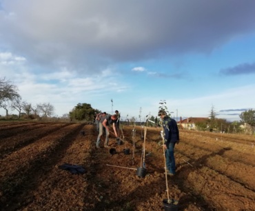 Participez à des chantiers participatifs de plantation d’arbres dans le Tarn