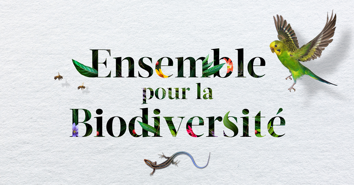 ensemble pour la biodiversite