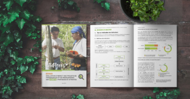 Évaluation d’impact des projets de préservation et de restauration  des forêts : pratiques et attentes