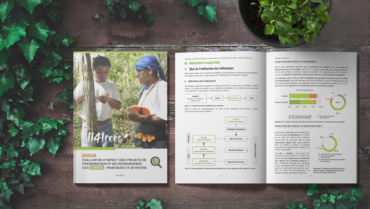 Évaluation d’impact des projets de préservation et de restauration  des forêts : pratiques et attentes