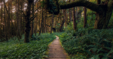 Nos actions prioritaires en 2021 !