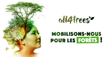 Mobilisons-nous pour les forêts avec Amalya !