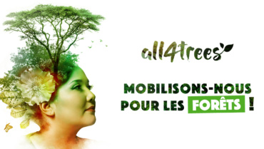 Mobilisons-nous pour les forêts avec Amalya !