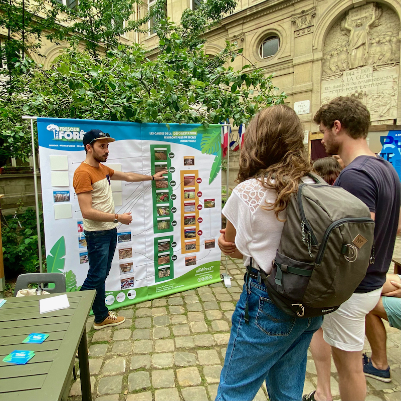 fresque de la forêt quiz
