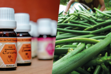 Découvrez les produits issus des filières bios et équitables développées par Coeur de Forêt