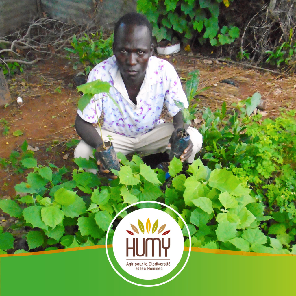 projet agroforesterie bénin Humy