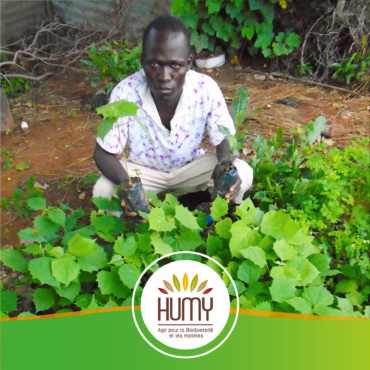 🇧🇯 Bénin – Projet d’agroforesterie et de préservation du Parc national de la Pendjari