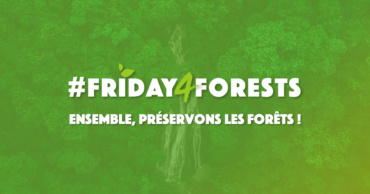 #Friday4Forests – Le Black Friday détruit nos forêts !