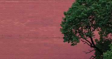 [ÉDITO] COP26 ou la grandiloquence de l’arbre qui cache l’inaction