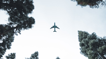 Quels sont les risques associés au #treewashing ?