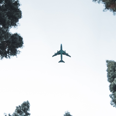 Quels sont les risques associés au #treewashing ?