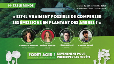 Table ronde – Est-il vraiment possible de compenser ses émissions en plantant des arbres ?