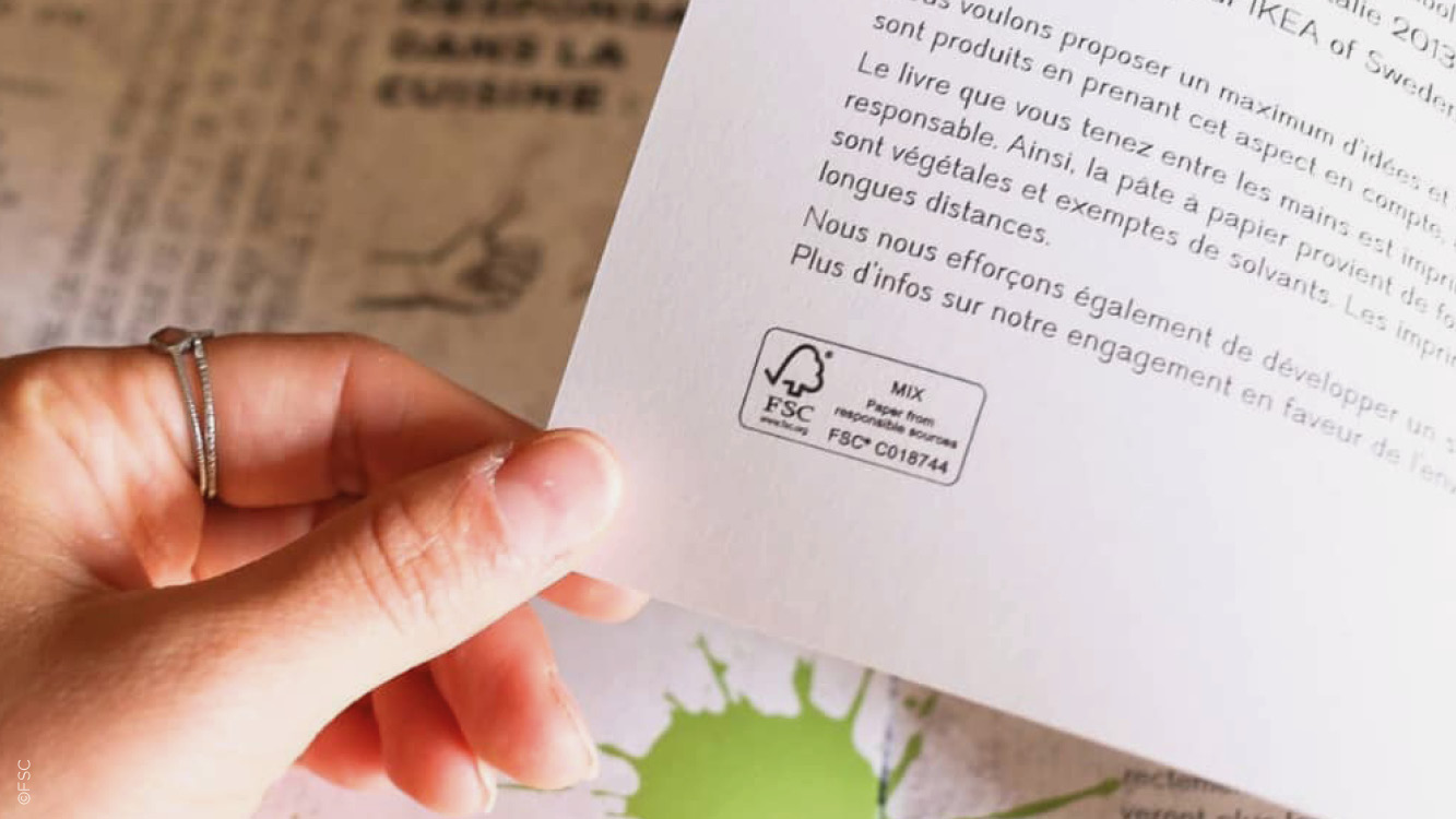 Photo d'une main tenant un papier labellisé FSC