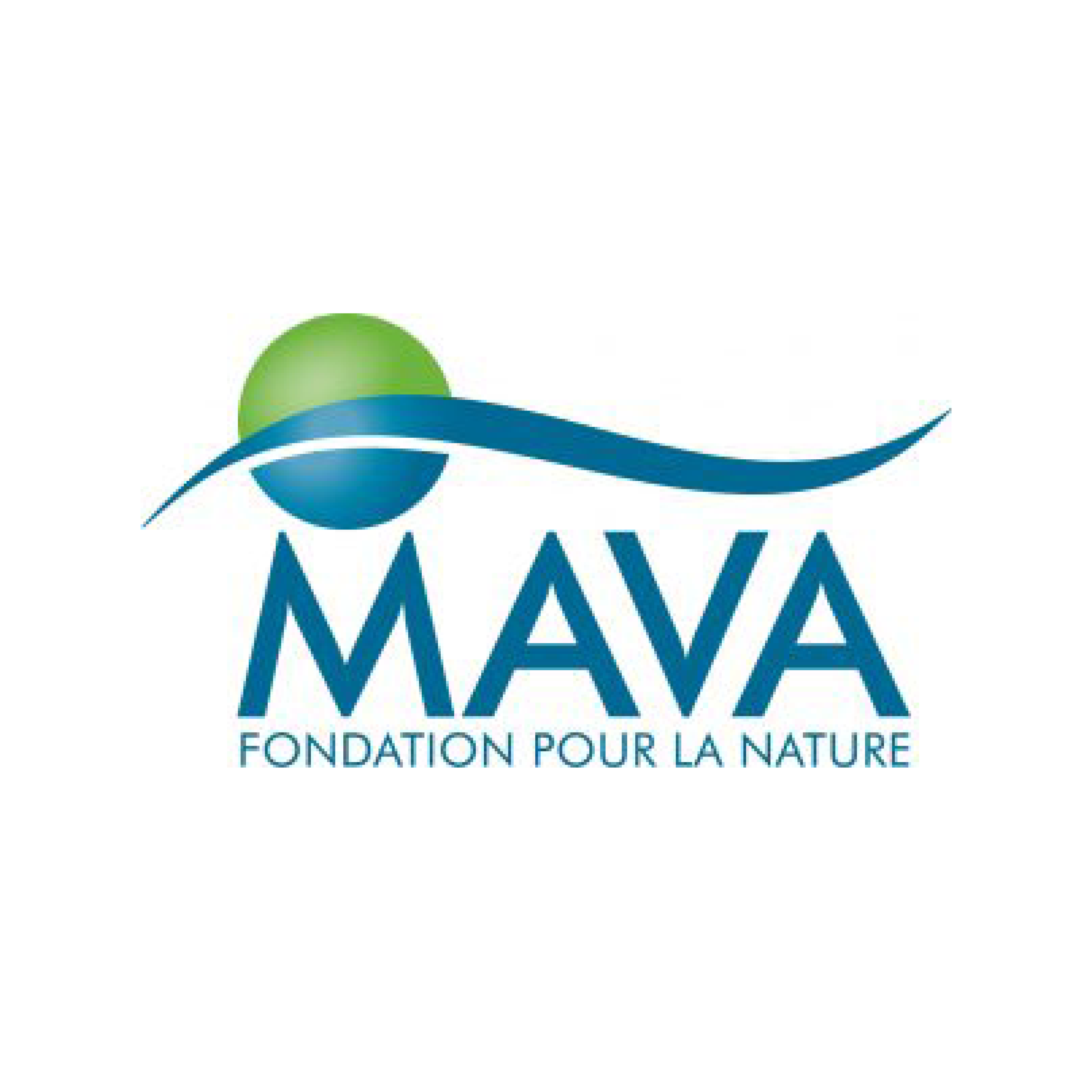 MAVA Foundation