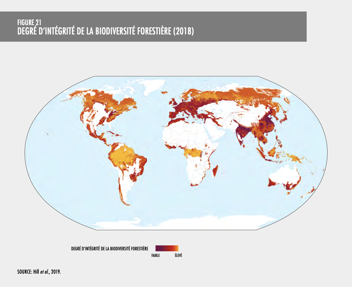 Carte : degré d'intégrité de la biodiversité forestière dans le monde (FAO, 2020)