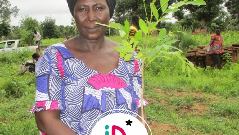 🇹🇩 Tchad – RésiSTerre – Préserver les espaces forestiers autour de la ville de Moundou