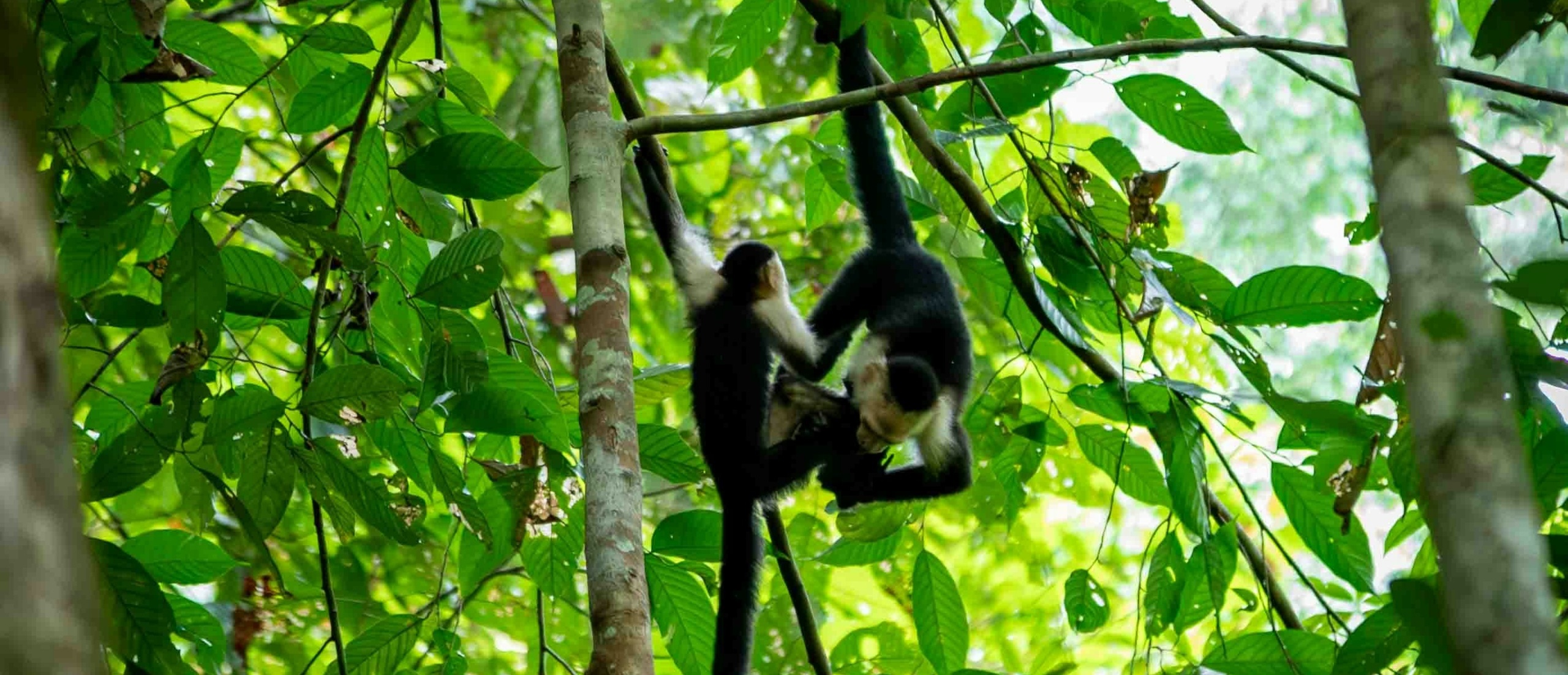 bernd-dittrich-cKDCJpXe6lI-unsplash