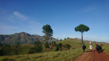 Carnet de bord#13 : tongasoa (bienvenue) à Madagascar !