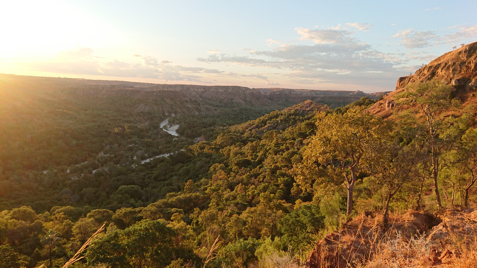 La forêt d’Azohy en fin de journée