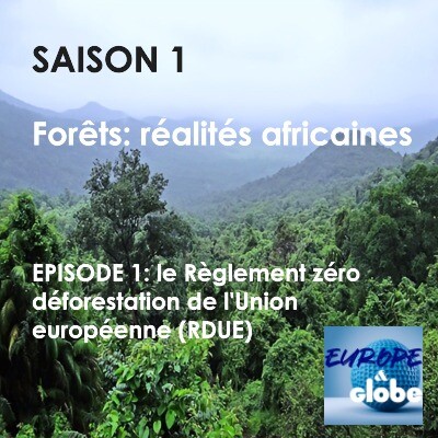 Podcast "Réalités africaines" de Europe & Globe