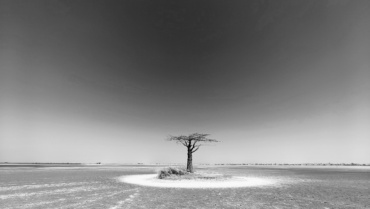 Carnet de bord #18 : cap sur les indicateurs de gouvernance !