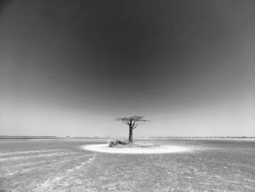 Carnet de bord #18 : cap sur les indicateurs de gouvernance !