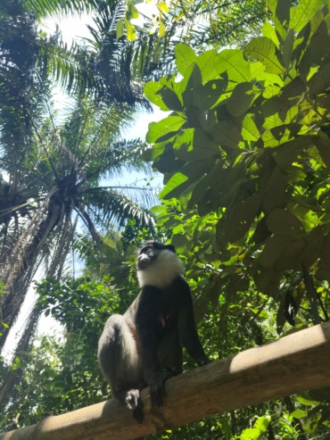 Carnet de bord #19 : l’arrivée au Bénin !